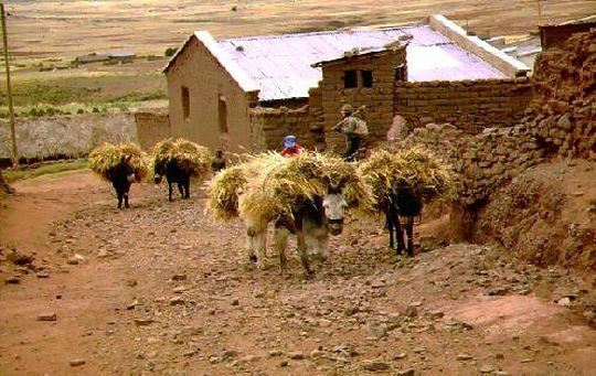 Village de l'Altiplano