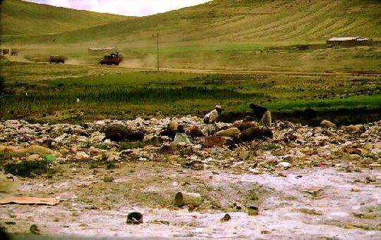 Hombre y animal en un deposito de basura de El Alto