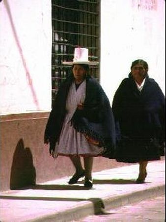 Cholitas potosinas