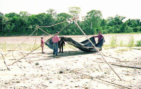 Establishment of the camp on the Tuichi river