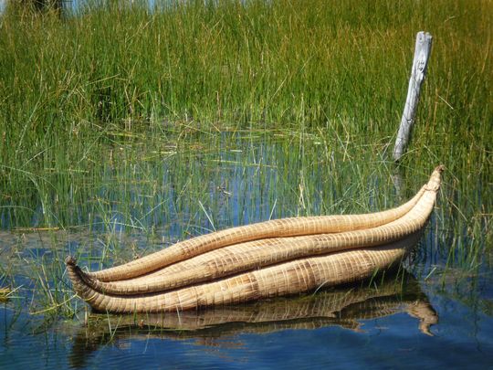 Reed boat