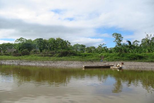 Rivire borde par la fort amazonienne