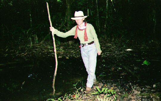 Ida en los pantanos de la jungla