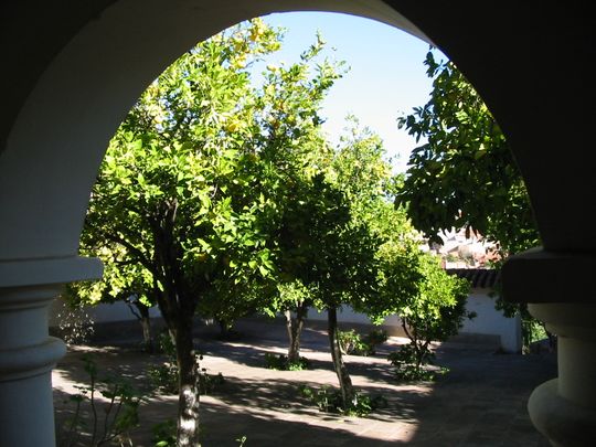 Cloister with fruit trees