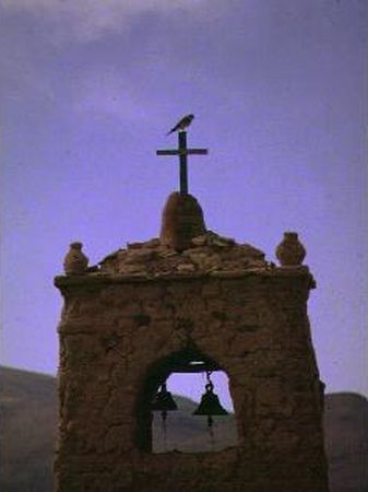 Faucon sur le clocher de la chapelle de San Juan